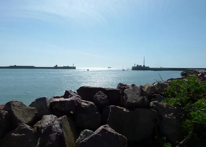Vivez Les Flots Bleus - Port De Plaisance - Le Havre